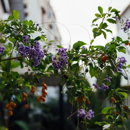 Atmosfere Puniche Bed & Breakfast Palermo