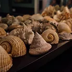 Bed & Breakfast Atmosfere Puniche 4*